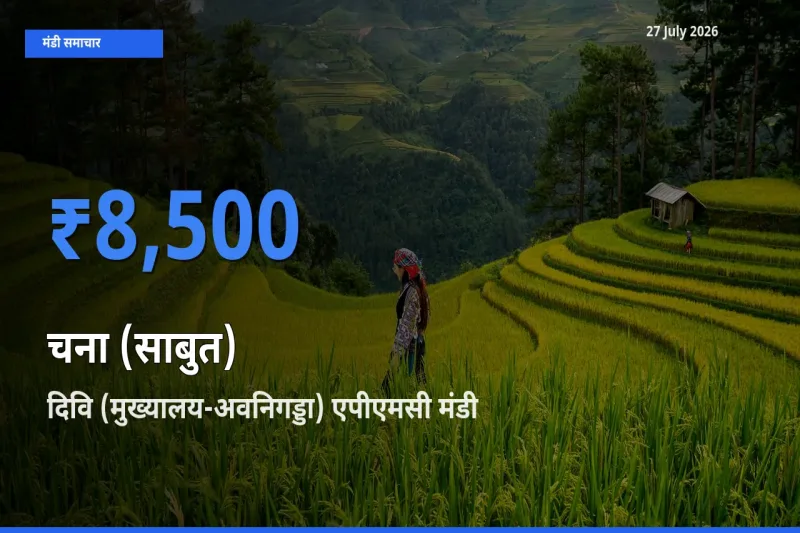 आज चना (साबुत) के सबसे ऊँचे दाम ₹8,500 दिवि (मुख्यालय-अवनिगड्डा) एपीएमसी, कृष्ण, आंध्र प्रदेश मंडी में