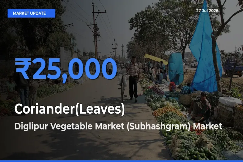 Diglipur Vegetable Market (Subhashgram), North and Middle Andaman, Andaman and Nicobar Tops Coriander(Leaves) Mandi Rates Today