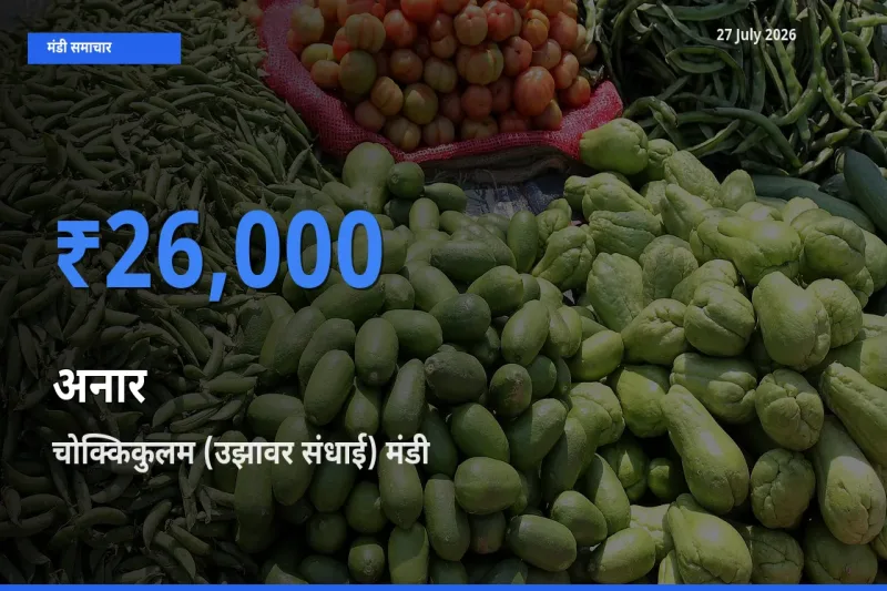 चोक्किकुलम (उझावर संधाई), मदुरै, तमिलनाडु मंडी में अनार ₹26,000 पर पहुँचा – आज का सर्वोच्च भाव