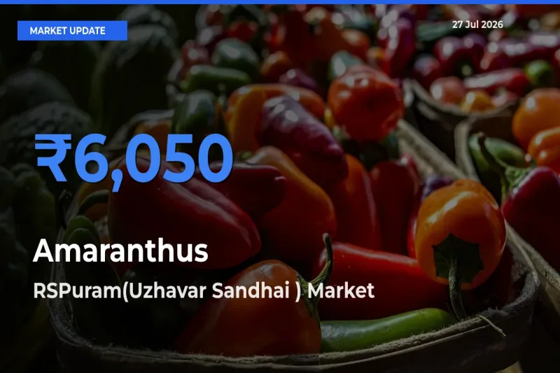 Farmers Prefer RSPuram(Uzhavar Sandhai ), Coimbatore, Tamil Nadu as Amaranthus Hits Highest Rate