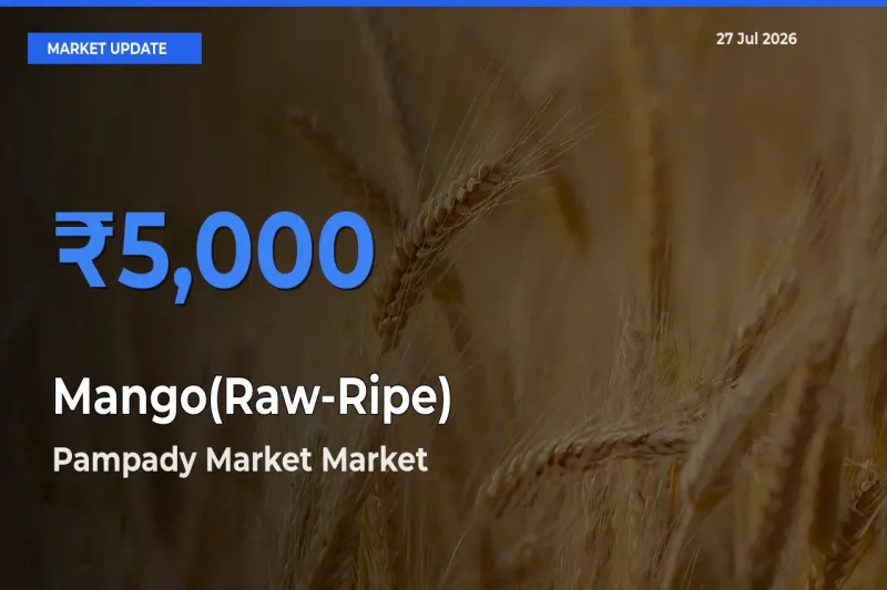 Pampady Market, Kottayam, Keralam Records Highest ₹5,000 Rate for Mango(Raw-Ripe)
