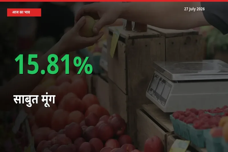 तेज़ तेजी! मंडी में साबुत मूंग के दाम 15.81% चढ़े