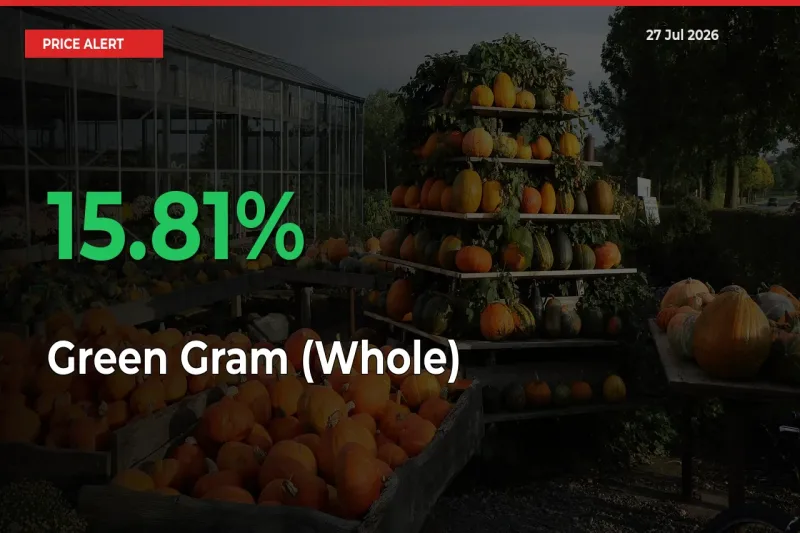 15.81% Spike in Green Gram (Whole) Prices – Mandi Sees Sudden Rally