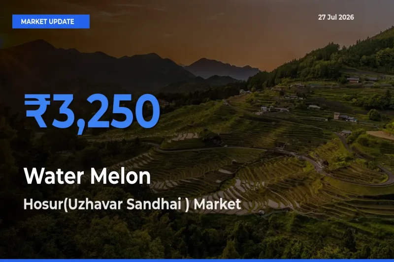 Hosur(Uzhavar Sandhai ), Krishnagiri, Tamil Nadu Tops Water Melon Mandi Rates Today