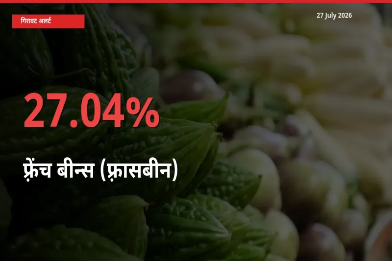 27.04% की गिरावट! मंडी में फ़्रेंच बीन्स (फ़्रासबीन) के दाम अचानक टूटे