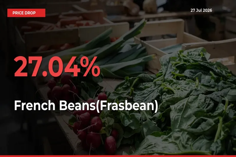 Sharp Fall! French Beans(Frasbean) Prices Plunge 27.04% in a Day at Key Mandis