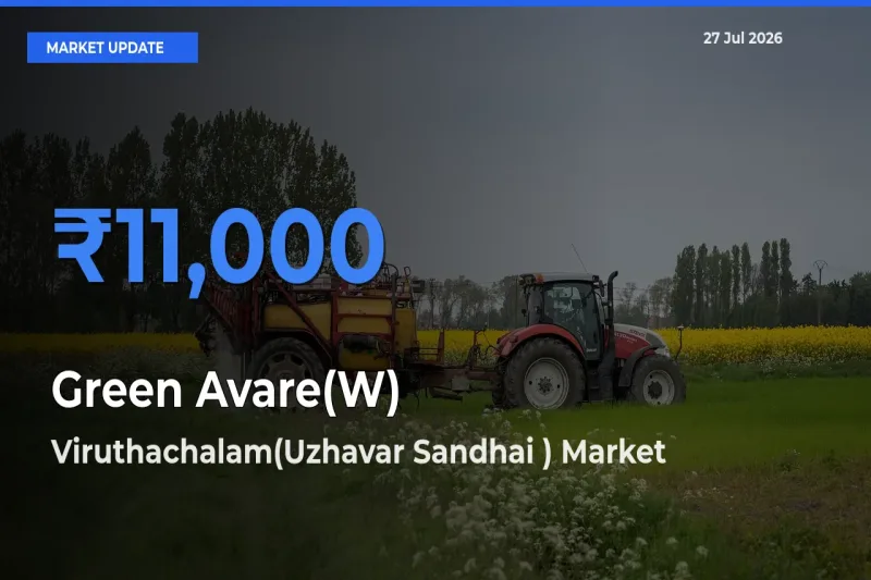 Viruthachalam(Uzhavar Sandhai ), Cuddalore, Tamil Nadu Emerges as Top Mandi for Green Avare(W) Prices Today