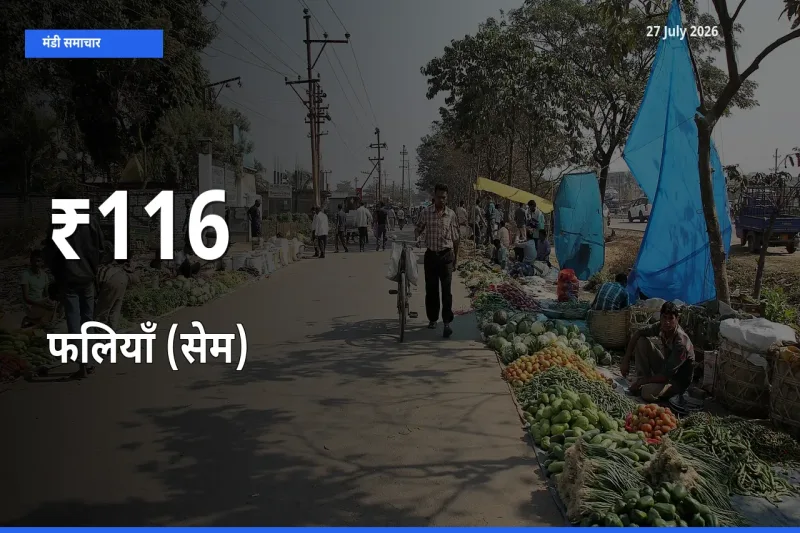 आज का मंडी ट्रेंड: फलियाँ (सेम) के दाम कई बाजारों में एक साथ बदले