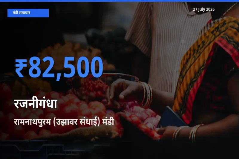 किसानों की पसंद बना रामनाथपुरम (उझावर संधाई), तमिलनाडु, रजनीगंधा के सबसे अच्छे दाम