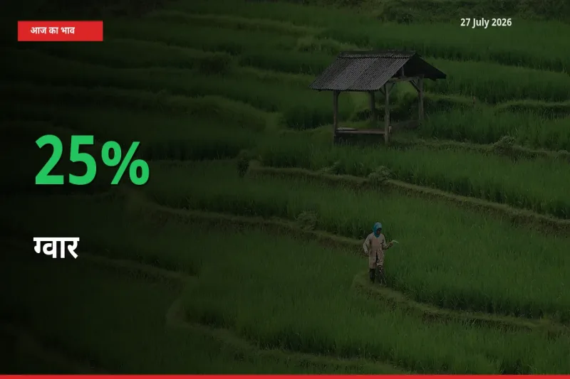 किसानों के लिए खुशखबरी! स्थानीय मंडी में ग्वार 25% उछला