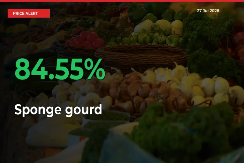 Sponge gourd Rises 84.55% at Mandis