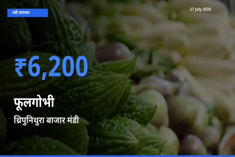 थ्रिपुनिथुरा बाजार, एर्नाकुलम, केरलम में फूलगोभी का आज सबसे ऊँचा भाव