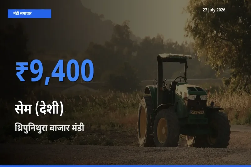 थ्रिपुनिथुरा बाजार, एर्नाकुलम, केरलम मंडी में सेम (देशी) ₹9,400 पर पहुँचा – आज का सर्वोच्च भाव