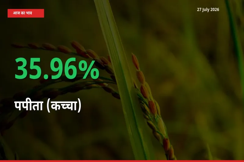 पपीता (कच्चा) के दाम प्रमुख मंडी में 35.96% बढ़े, 24 घंटे में बड़ा बदलाव