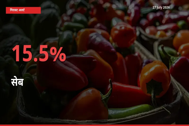बाज़ार संकेत: सेब के भाव मंडी में 15.5% नीचे
