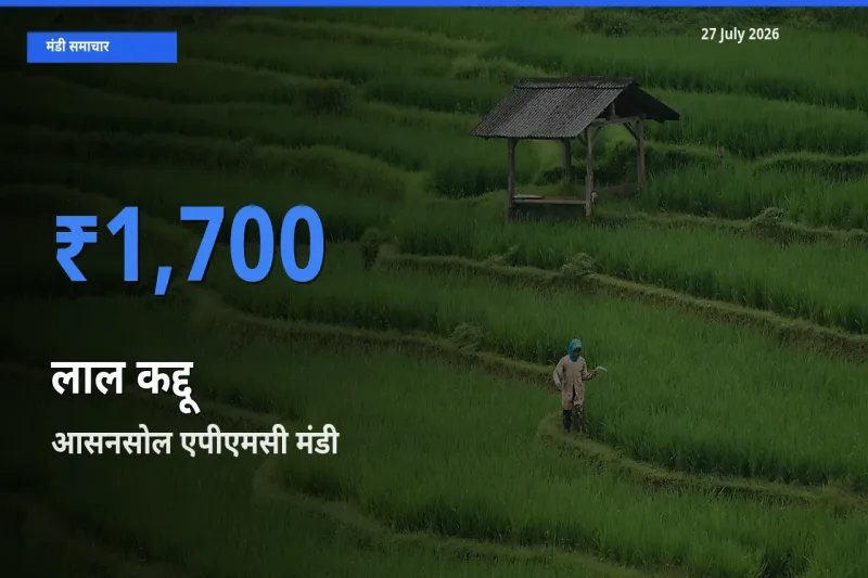 आसनसोल एपीएमसी, पश्चिम बर्धमान, पश्चिम बंगाल में लाल कद्दू का आज सबसे ऊँचा भाव