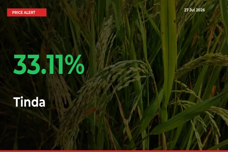 Farmers Cheer as Tinda Prices Surge 33.11% in Local Mandis