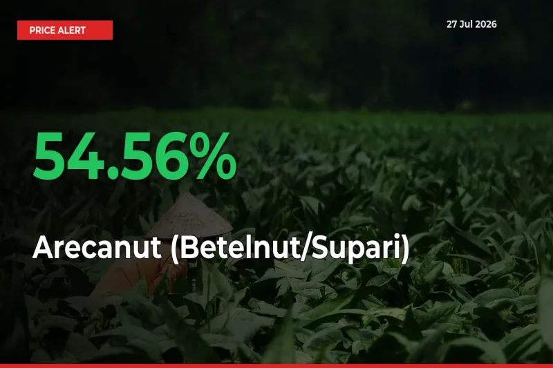 Arecanut (Betelnut/Supari) Rises 54.56% at Mandis