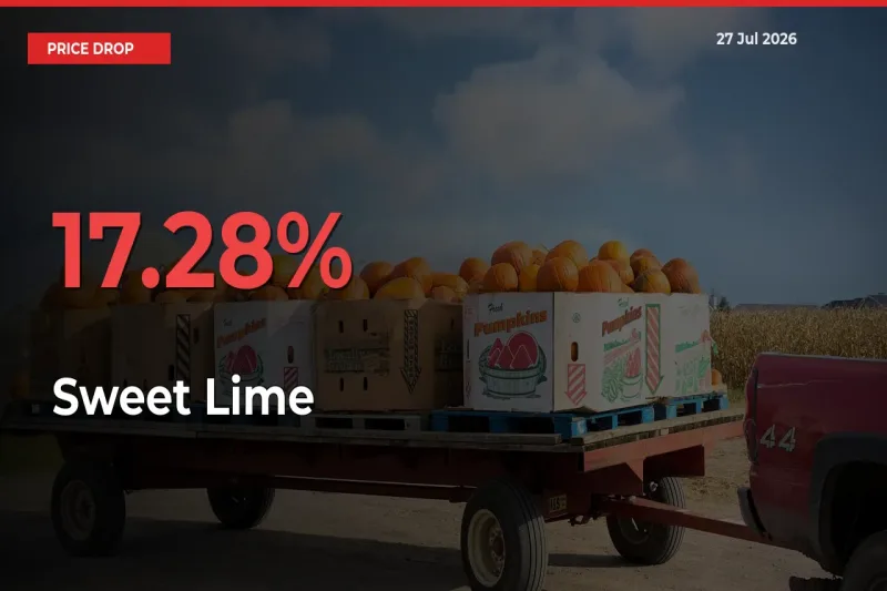 Sharp Fall! Sweet Lime Prices Plunge 17.28% in a Day at Key Mandis