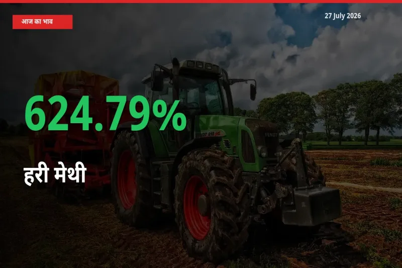स्थानीय मंडी में हरी मेथी के दाम अचानक 624.79% उछले, किसान सतर्क