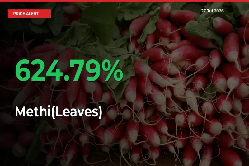 Sudden 624.79% Rally in Methi(Leaves) Prices Across Mandis