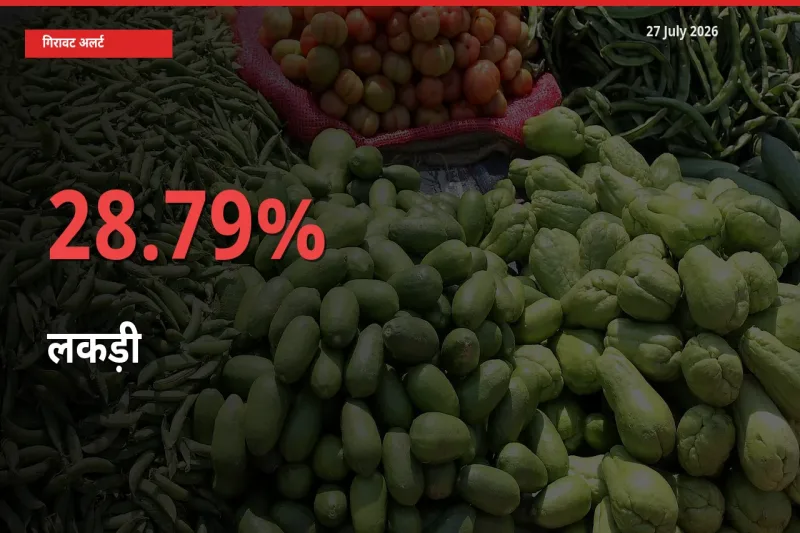 अचानक झटका! मंडी में लकड़ी के दाम 28.79% टूटे