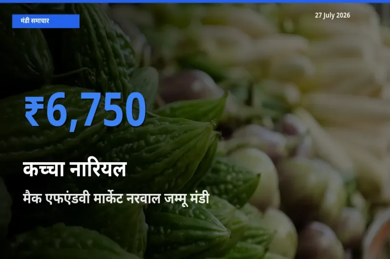 किसानों की पसंद बना मैक एफएंडवी मार्केट नरवाल जम्मू, जम्मू और कश्मीर, कच्चा नारियल के सबसे अच्छे दाम