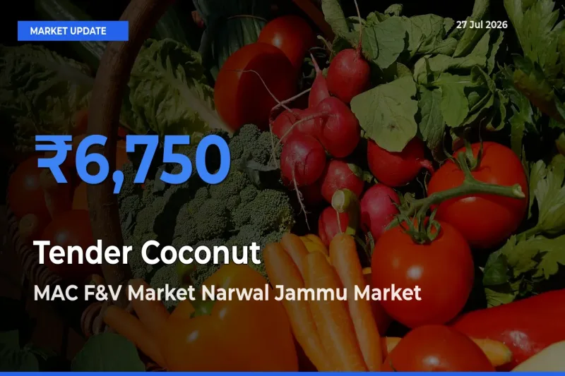 Top Performer! MAC F&V Market Narwal Jammu, Jammu and Kashmir Offers Best Tender Coconut Price Today