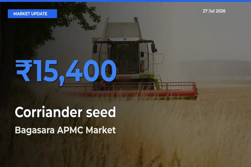 Bagasara APMC, Amreli, Gujarat Leads as Top Mandi for Corriander seed Prices