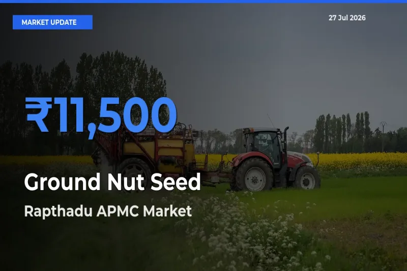 Market Watch: Rapthadu APMC, Ananthapuramu, Andhra Pradesh Becomes Top Mandi for Ground Nut Seed