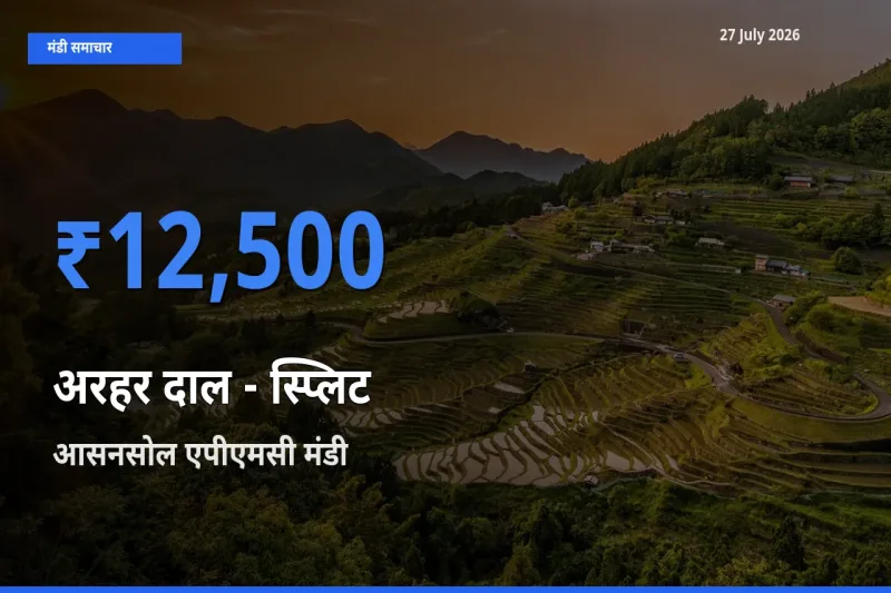 टॉप मंडी बना आसनसोल एपीएमसी, पश्चिम बर्धमान, पश्चिम बंगाल! अरहर दाल - स्प्लिट के सबसे ऊँचे दाम यहीं दर्ज