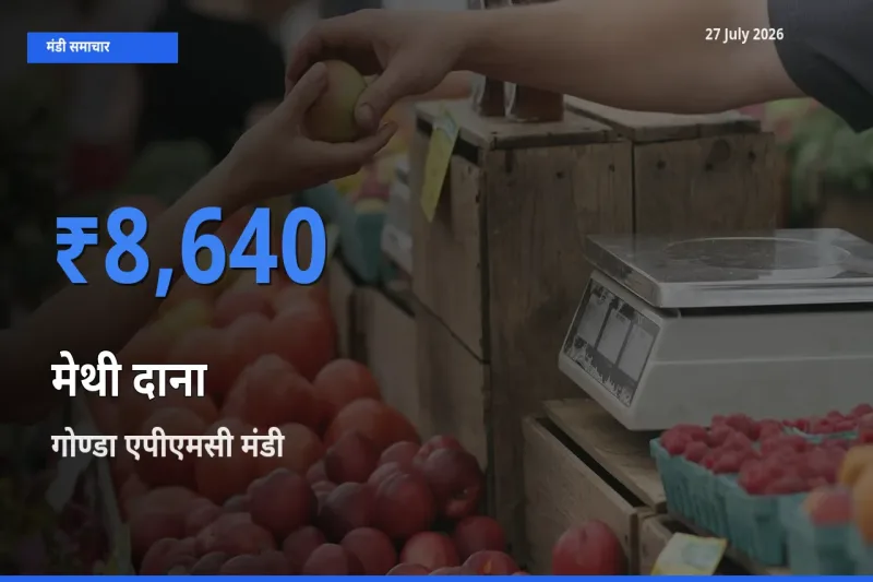 टॉप मंडी बना गोण्डा एपीएमसी, गोंडा, उत्तर प्रदेश! मेथी दाना के सबसे ऊँचे दाम यहीं दर्ज
