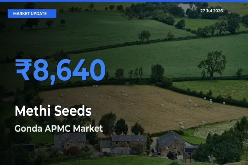 Farmers Prefer Gonda APMC, Uttar Pradesh as Methi Seeds Hits Highest Rate