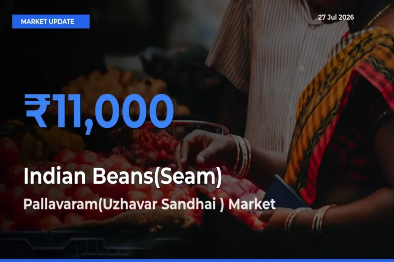 Top Performer! Pallavaram(Uzhavar Sandhai ), Chengalpattu, Tamil Nadu Offers Best Indian Beans(Seam) Price Today