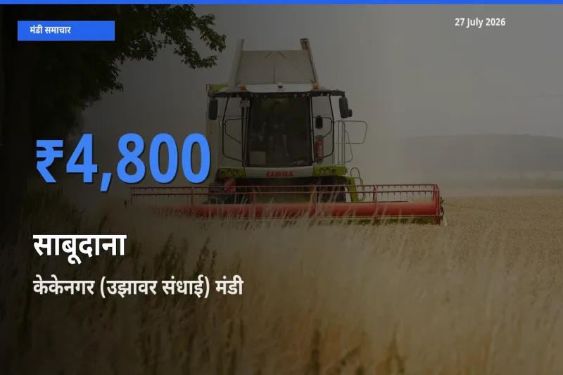 आज साबूदाना के सबसे ऊँचे दाम ₹4,800 केकेनगर (उझावर संधाई), तिरुचिरापल्ली, तमिलनाडु मंडी में