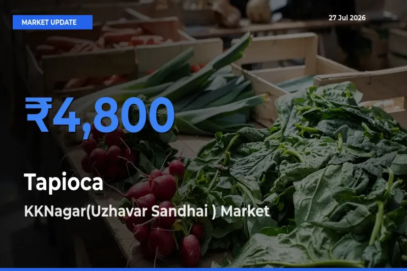 KKNagar(Uzhavar Sandhai ), Thiruchirappalli, Tamil Nadu Records Highest ₹4,800 Rate for Tapioca