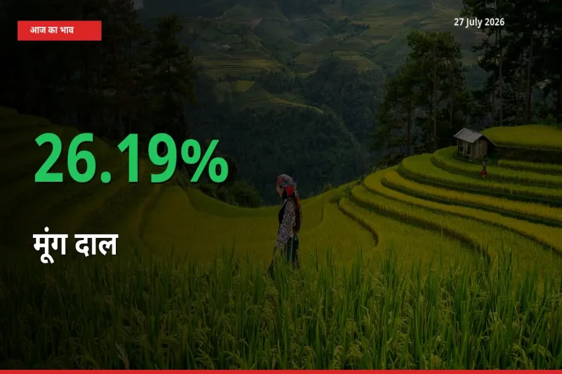 अचानक तेजी! मंडी में मूंग दाल के दाम 26.19% चढ़े