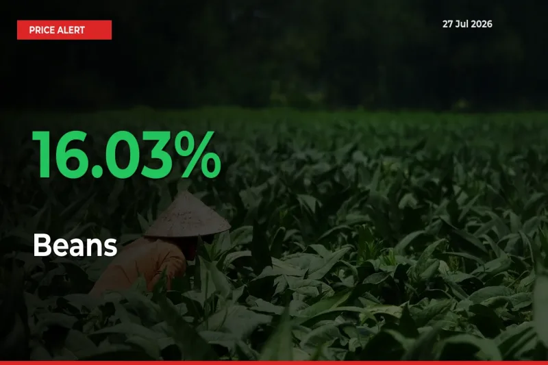 Sudden 16.03% Rally in Beans Prices Across Mandis