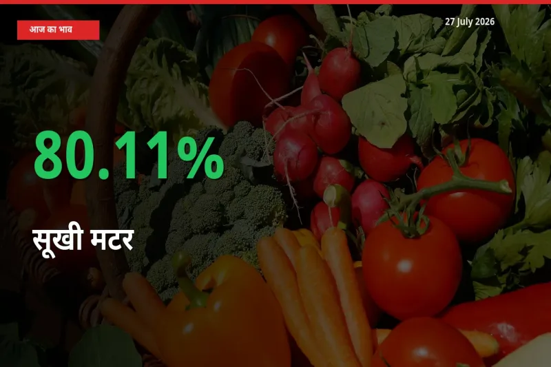 27 July अपडेट: सूखी मटर के दाम मंडी में 80.11% उछले