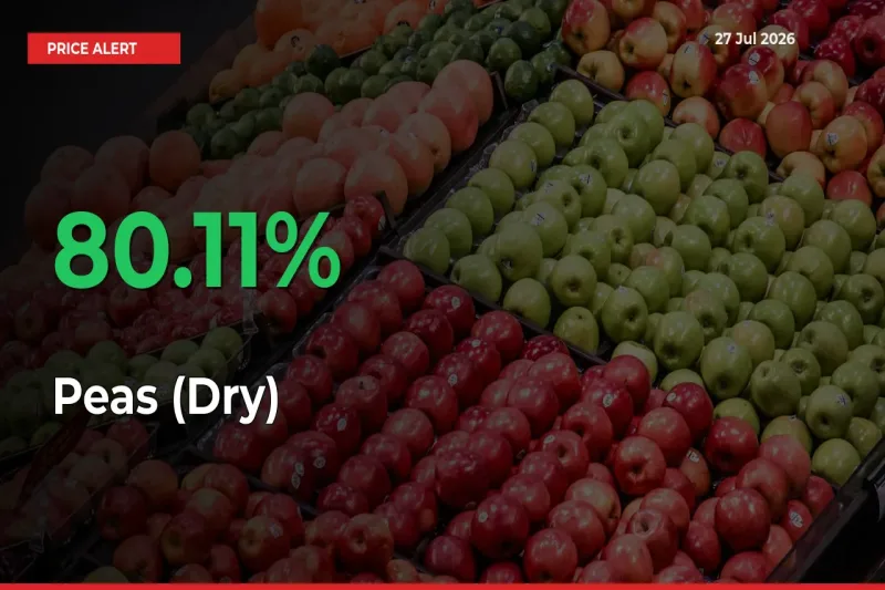 Peas (Dry) Mandi Rate Today: Prices Jump 80.11% at Market