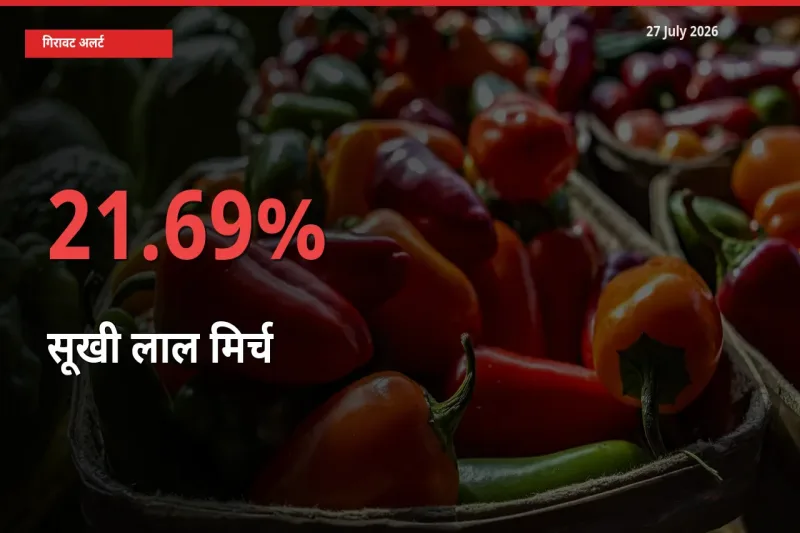 27 July अपडेट: सूखी लाल मिर्च के दाम मंडी में 21.69% गिरे