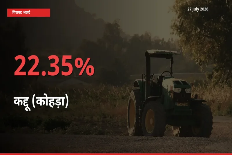 कद्दू (कोहड़ा) 22.35% गिरा, मंडी