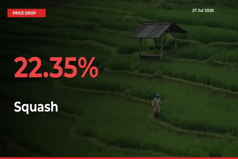 Squash Prices Drop 22.35% in 24 Hours at Major Mandis
