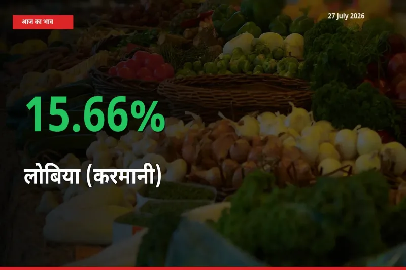 लोबिया (करमानी) 15.66% उछला, मंडी