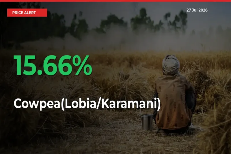 Why Cowpea(Lobia/Karamani) Prices Rose 15.66% in a Day at Mandis