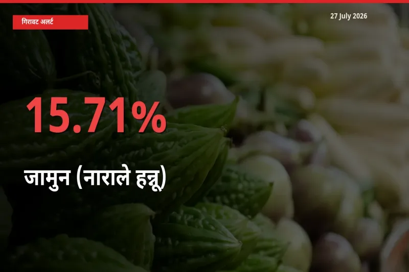 आज का मंडी भाव: जामुन (नाराले हन्नू) के दाम मंडी में 15.71% नीचे