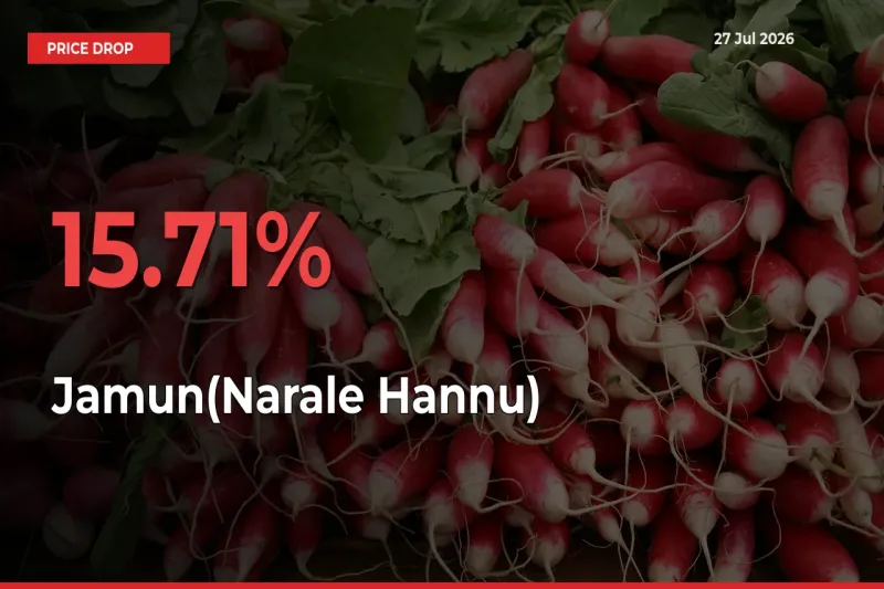Jamun(Narale Hannu) Prices Drop 15.71% – July 27 Market Update from Mandis