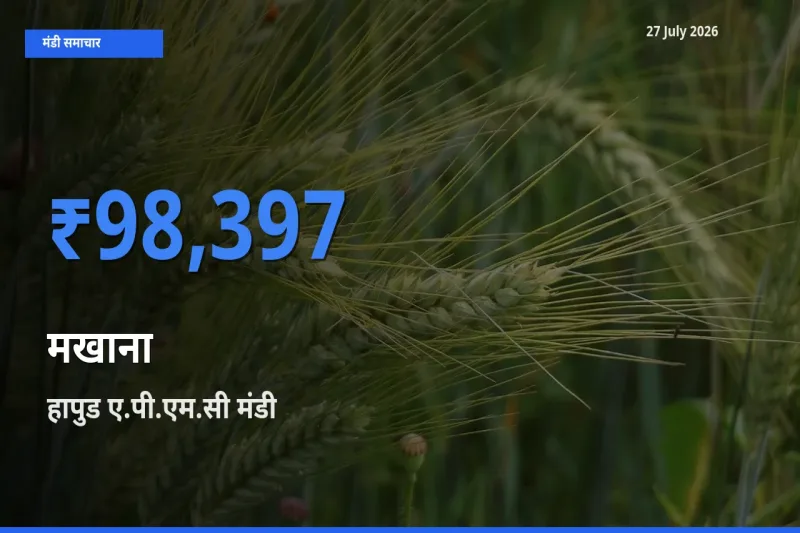 आज मखाना के सबसे ऊँचे दाम ₹98,397 हापुड ए.पी.एम.सी, गाजियाबाद, उत्तर प्रदेश मंडी में