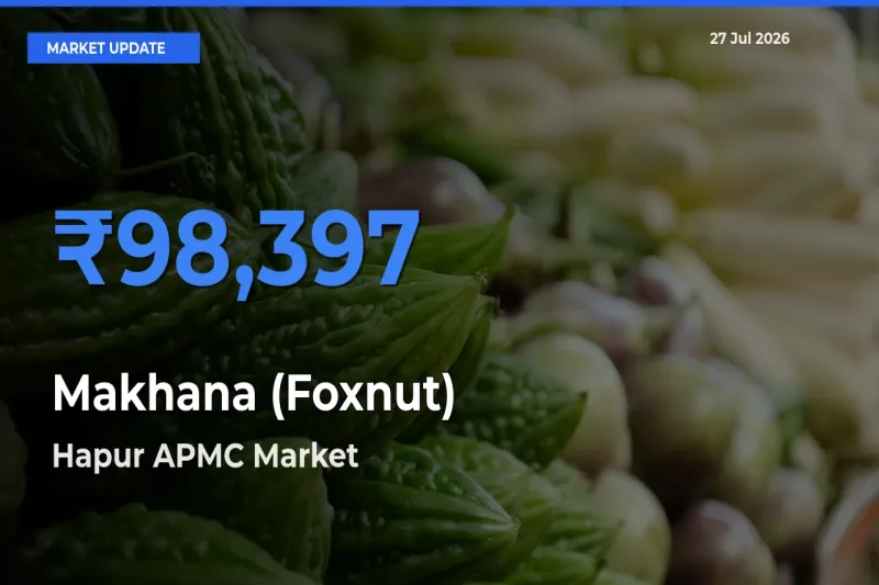 Hapur APMC, Ghaziabad, Uttar Pradesh Records Highest ₹98,397 Rate for Makhana (Foxnut)