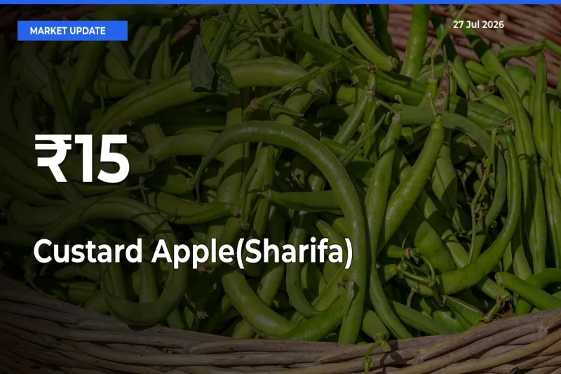 Custard Apple(Sharifa) Prices Trend Across 15+ Mandis – Market Direction Turns Clear